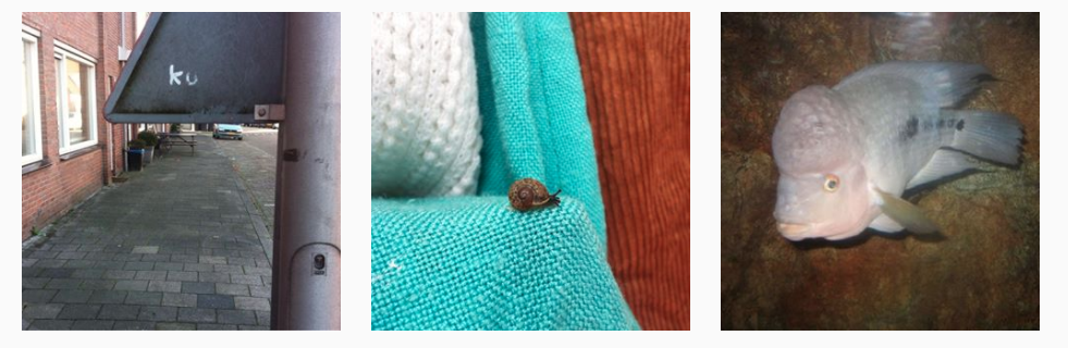 Schermafbeelding 2017-11-15 om 11.26.06