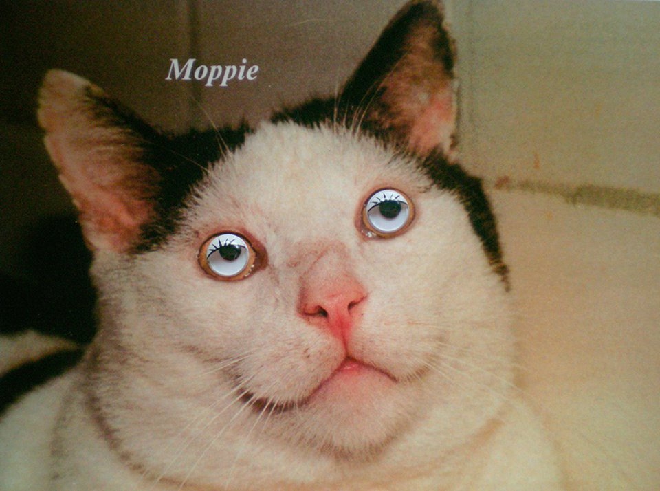 15356534_10205998669164236_4713976058126819038_n