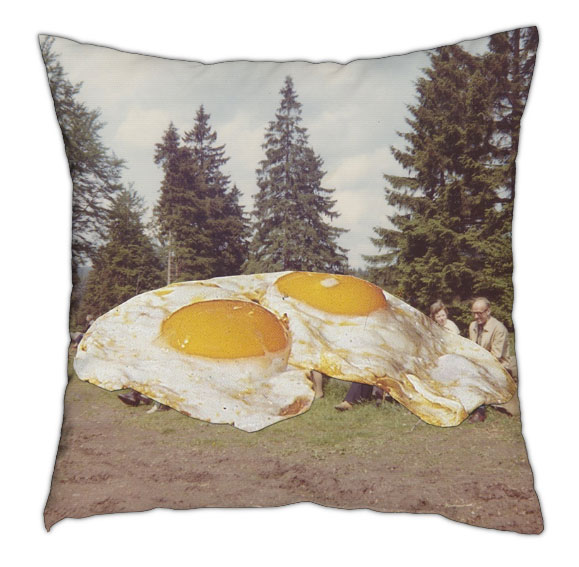 ei-kussen_40x40_LR