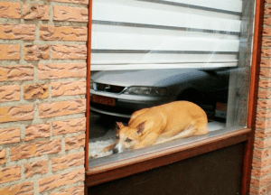 Schermafbeelding 2018-04-29 om 09.53.44