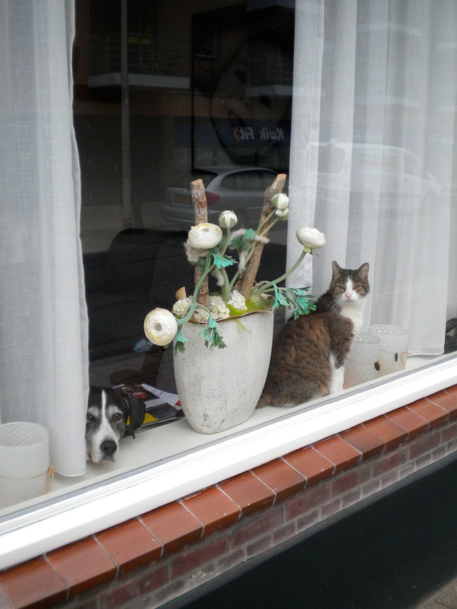 4-01CDW_27042017_DSCN3775