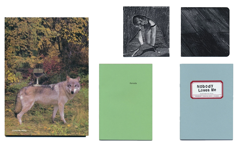 vaa3-box_laatsteboken-2