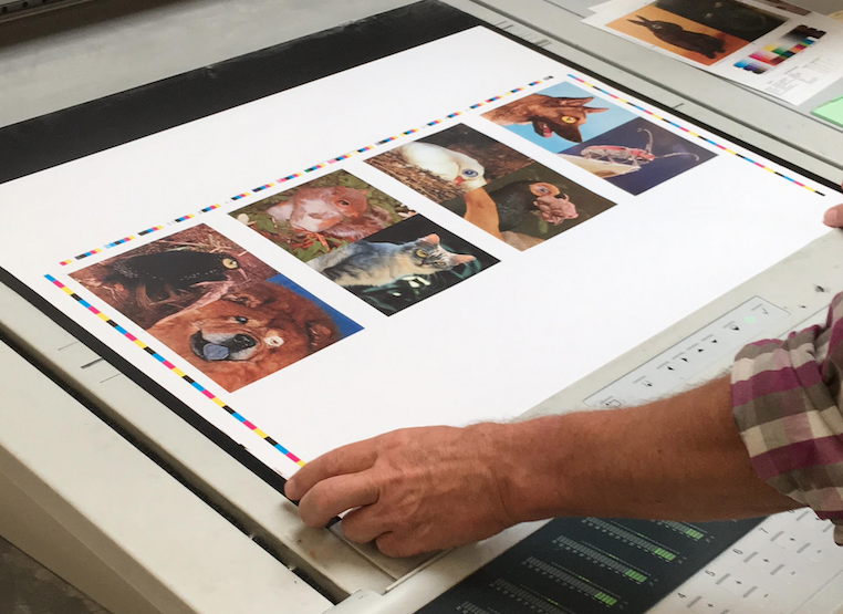 Schermafbeelding 2018-12-18 om 12.54.34