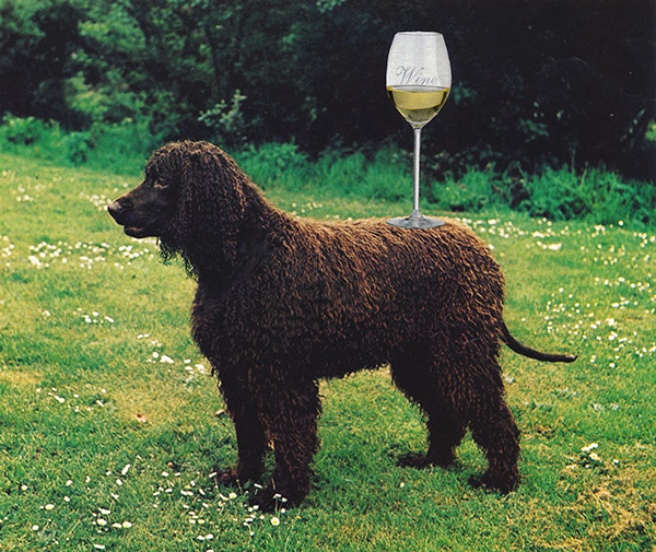 chantal-rens-works_003