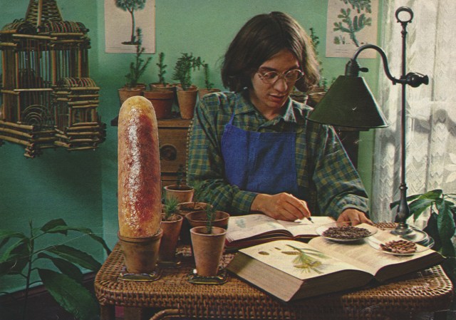 collage_20190209_0002-LR