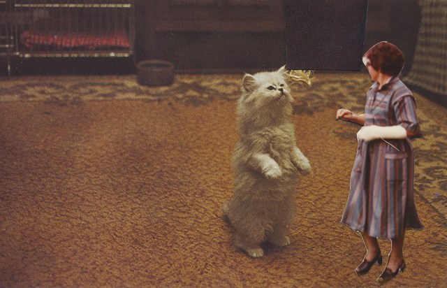 COLLAGE-scan_20190220_0007