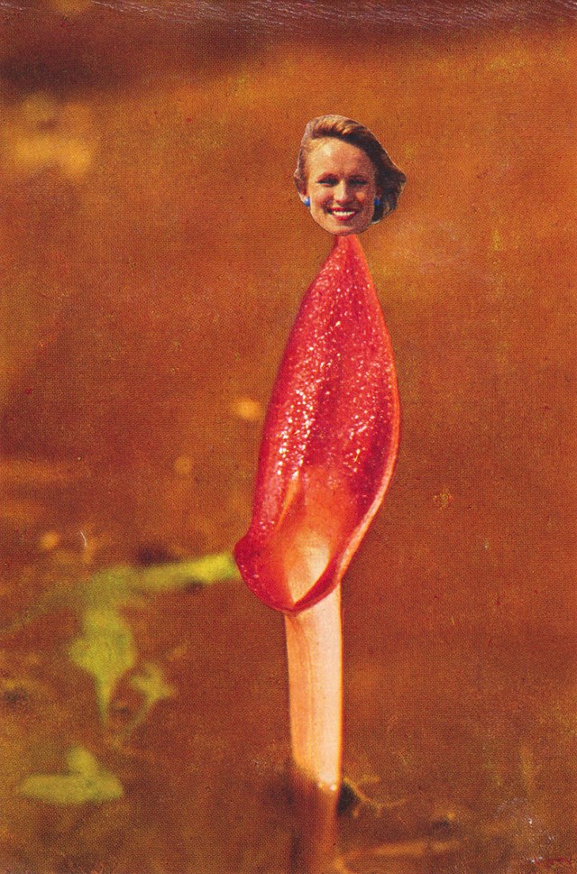 CR_society-wait-for-me_LR