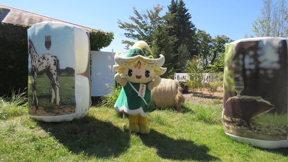 71011200_10212298029804315_4501639520260718592_n