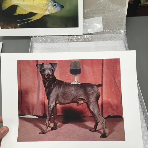 Schermafbeelding 2019-09-08 om 09.04.46