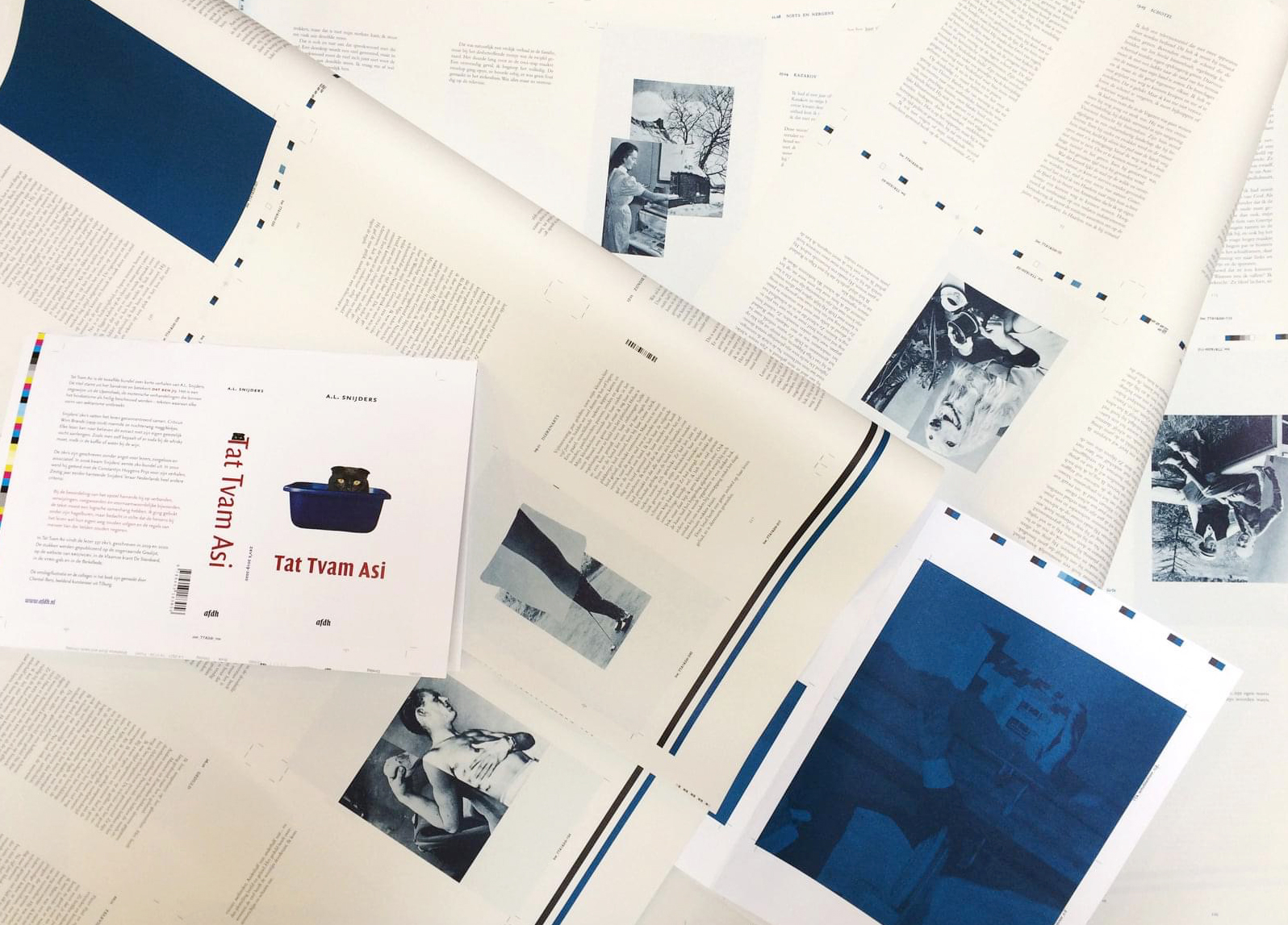 AL_snijders_TTA-drukproeven