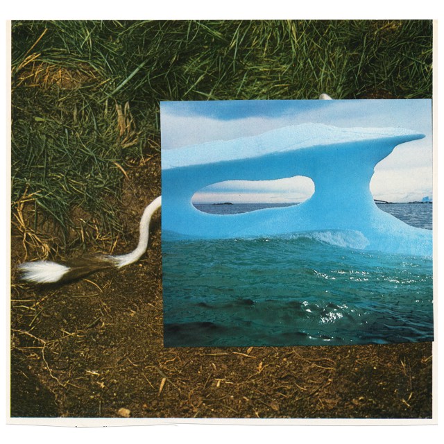 IMG_20220616_0001_clean cut_LR